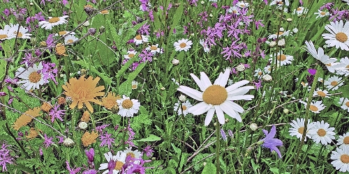 knstliches sperma kaufen Fake Sperma Cum Gleitgel