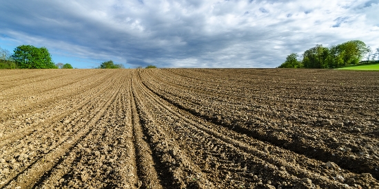 OnFarming | Phosphat und Kali - wichtig fr Bodenfruchtbarkeit