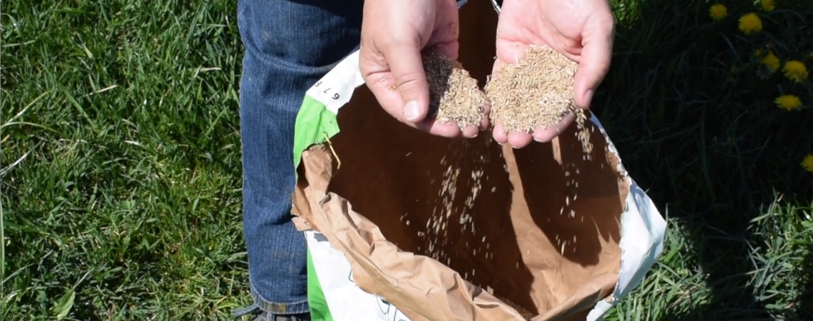 OnFarming | Video-Tipp: AG Saatgut-Qualitt im Grnland