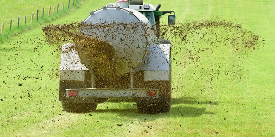womit kann ich hortensien düngen Hortensien Dünger - Mineralischer NPK Flüssigdünger mit Stickstoff