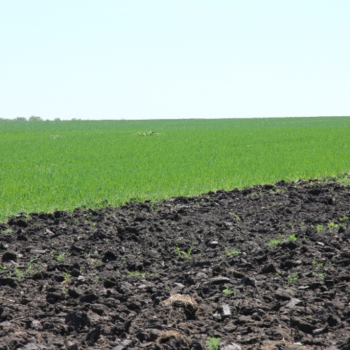 OnFarming | Dngemittel: Whlen Sie den passenden Dnger
