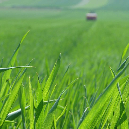 OnFarming | Dngemittel: Whlen Sie den passenden Dnger