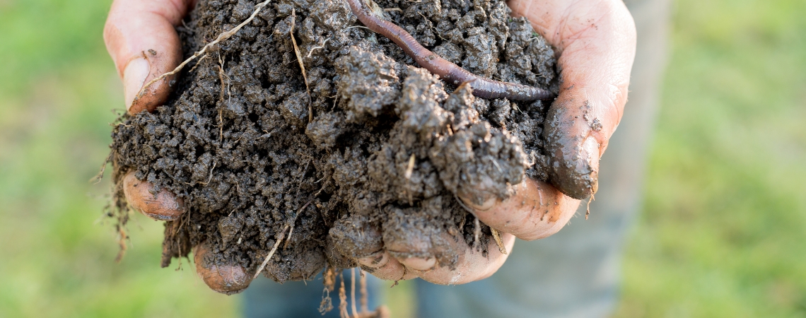 OnFarming | Bodenverbesserer fr die Bio-Landwirtschaft