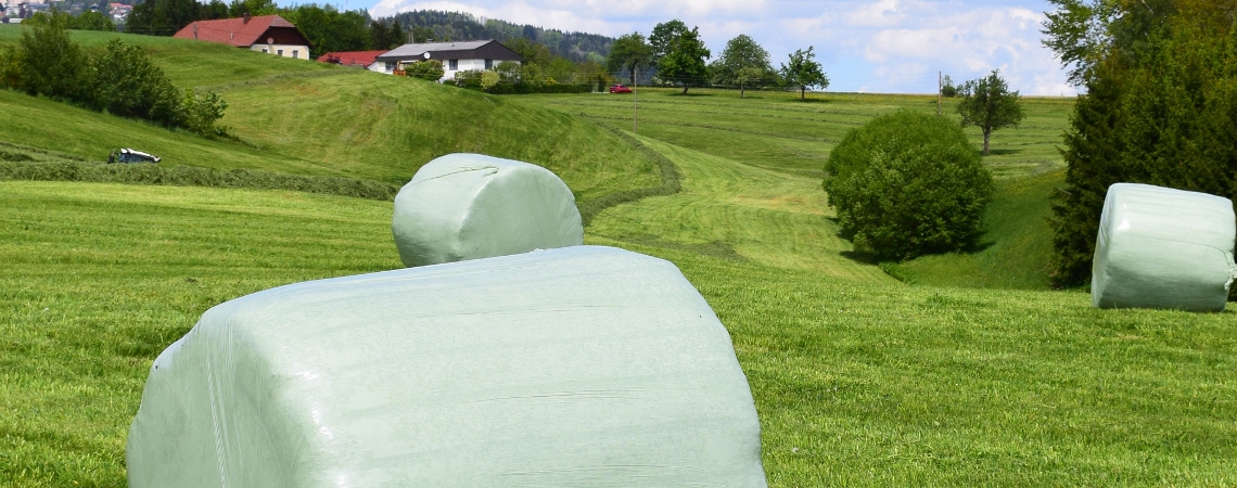 OnFarming | Saatgut Dauerwiese: Jetzt Mischung whlen