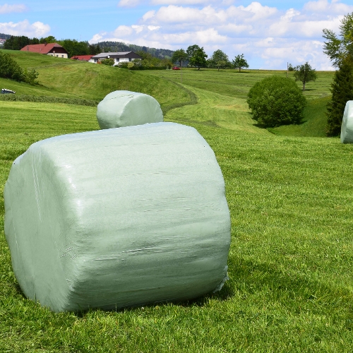 OnFarming | Saatgut & Bio-Saatgut whlen