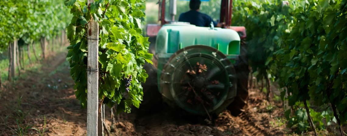 OnFarming | Spezialdnger fr den Weinbau