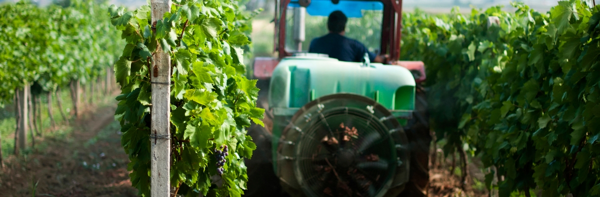 OnFarming | Weinbau und Obstbau: Entdecken Sie unser Angebot