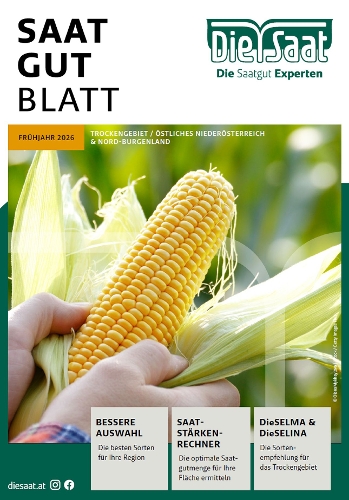 kakteen saatgut Außergewöhnliche Kakteen Samen mit hoher Keimrate main image 0
