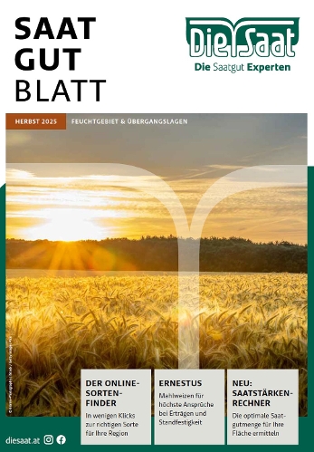 bingenheimer saatgut haltbarkeit BIO Saatgut Blumenmischung Bienenweide – Biogartenladen main image 0