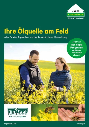 künstliche orchideen mit topf Orchidee Vanda Kunstpflanze 60cm Deko pflegeleicht kaufen